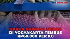 Harga Bawang Merah di Yogyakarta Tembus Rp60.000 per Kg, Pembeli dan Pedagang Mengeluh