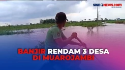 Sungai Batanghari Meluap, Tiga Desa di Muaro Jambi Kembali Dikepung Banjir