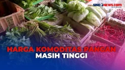 Laporan Langsung dari Pasar Johar, Harga Komoditas Pangan Masih Tinggi
