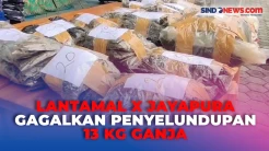 Penyelundupan 13 Kg...