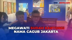 Bursa Cagub Jakarta, Sekjen PDIP Sebut 8 Nama Sudah Dikantongi Megawati