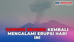 Gunung Semeru Kembali Erupsi Hari Ini, Keluarkan Letusan Abu Vulkanik Capai 900 Meter