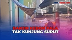 Kebon Pala Terendam Banjir Setinggi 2 Meter, Sudah 5 Jam Tak Kunjung Surut