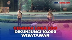 Libur Panjang Hari Raya Waisak, 10.000 Wisatawan Serbu Gembira Loka Zoo Yogyakarta