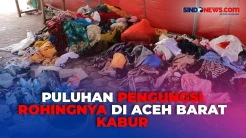 Gawat! Puluhan Pengungsi Rohingya di Aceh Barat Kabur dari Tempat Penampungan