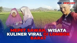 Lagi Viral! Inilah Wisata Kuliner Mepet Sawah di Lombok Barat yang Selalu Ramai Dikunjungi Wisatawan