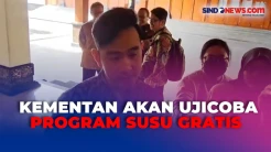 Gibran Tegaskan Uji Coba Program Susu Gratis untuk Menemukan Skema Terbaik