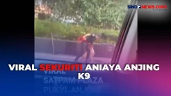 Viral Sekuriti Plaza Indonesia Aniaya Anjing K9, Pengelola Putus Kerja Sama Vendor