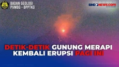 Gunung Merapi Erupsi Lagi Pagi Ini, Luncurkan Awan Panas Sejauh 1.000 Meter