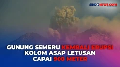 Keluarkan Kolom Asap Letusan Mencapai 900 Meter Mengarah ke Sisi Utara, Gunung Semeru kembali Erupsi Hari Ini