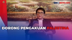 Temui Presiden Finlandia di Helsinki, Menlu Retno Dorong Pengakuan Palestina