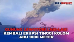Gunung Lewotobi Laki-laki Kembali Erupsi, Warga Diminta Waspada