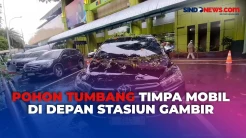 Akibat Hujan Deras, Pohon Tumbang Timpa Mobil hingga Ringsek di Depan Stasiun Gambir