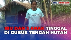 Kisah Pilu Ibu dan Tiga Anak di Polewali Mandar Terpaksa Hidup di Gubuk Tengah Hutan