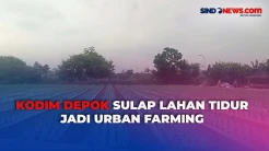 TNI Sukses Ubah Lahan Bekas Tol Cijago Menjadi Kebun Bawang dan Cabai