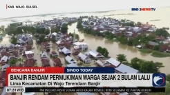 2 Bulan Terendam Banjir, Begini Kondisi Ratusan Rumah di Wajo, Sulawesi Selatan