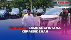 Sambangi Istana, Prabowo Subianto Tunjukan Gaya Beladiri dan Berlari-lari Kecil