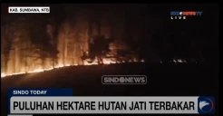 Kebakaran Hanguskan Puluhan Hektare Hutan Jati di Sumbawa
