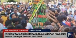 Antusiasme Warga di Surabaya Ikuti Tradisi Berebut Gunungan Sedekah Hasil Bumi