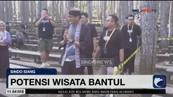 Keindahan Hutan Pinus Berpadu dengan Merdunya Musik Kroncong