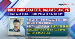 Bukti Baru Jadi Senjata Saka Tatal Menangkan Sidang PK Kasus Vina Cirebon