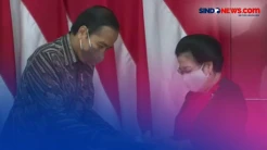 Respons Istana Usai Jokowi Diisukan Cawe-Cawe Kepengurusan PDIP
