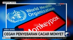 Cegah Penyebaran Cacar Monyet, Penumpang dari Luar Negeri Wajib Isi Aplikasi