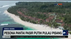 Pesona Pantai Pasir Putih Pulau Pisang Lampung