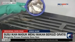 Intip Proses Pembuatan Susu dari Bahan Dasar Ikan di Indramayu