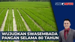 Swasembada Pangan jadi Prioritas, Indonesia Siap Cetak Tiga Juta Hektare Sawah