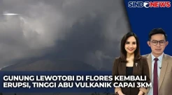 Gunung Lewotobi Kembali Erupsi, Tinggi Kolom Abu Capai 3.000 Meter