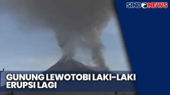 Semburan Vulkanik Gunung Lewotobi Setinggi 2.000 Meter