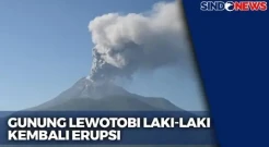 Berada di Level Awas, Gunung Lewotobi Laki-Laki Kembali Erupsi