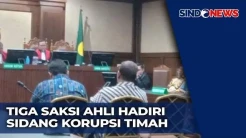 Sidang Korupsi Timah, Ahli Ungkap BPKP Tak Bisa Tentukan Nilai Kerugian Negara