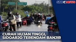 Curah Hujan Tinggi, Sejumlah Area Pertanian di Sidoarjo Terendam Banjir