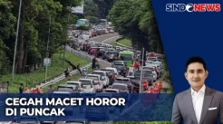 Cegah Macet ke Puncak, Kemenhub Siapkan Bus Bersubsidi di Kabupaten Bogor