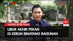 Kebun Binatang Ragunan jadi Pilihan Liburan Warga Jakarta