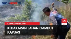 Tiga Hektar Hutan dan Lahan Gambut di Kapuas Terbakar