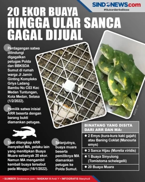 Perdagangan Puluhan...