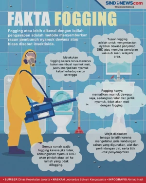 5 Fakta Penting Tentang...