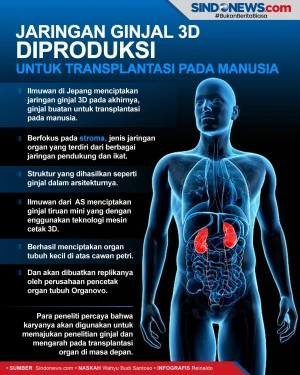 Jaringan Ginjal 3D Diproduksi...