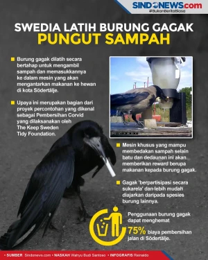 Swedia Latih Burung...