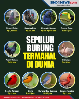 Harganya Selangit, Berikut...