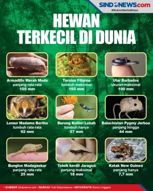 Duh Imutnya, Berikut...
