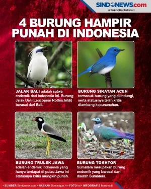 Tinggal Puluhan Ekor,...