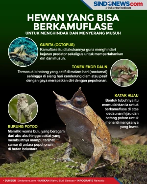Hewan yang Bisa Berkamuflase...