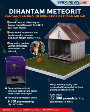 Dihantam Meteorit, Kandang...