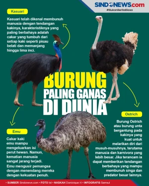 Hati-hati! Inilah Burung...