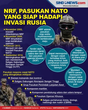 NRF, Pasukan NATO Disiapkan...
