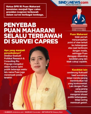 Dua Penyebab Puan Maharani...